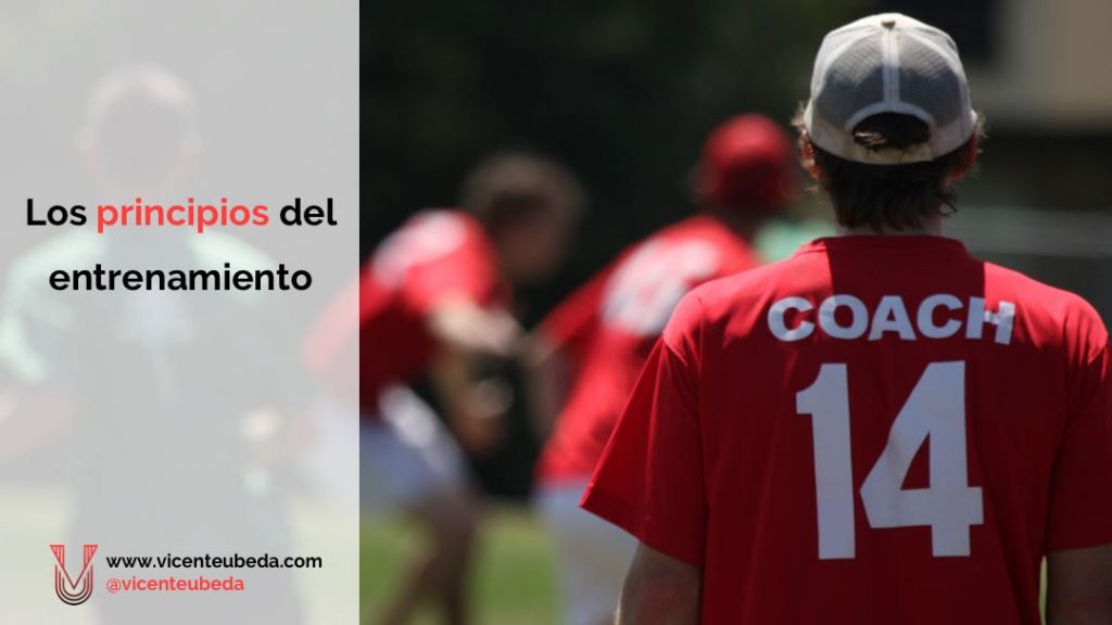 Los principios del entrenamiento