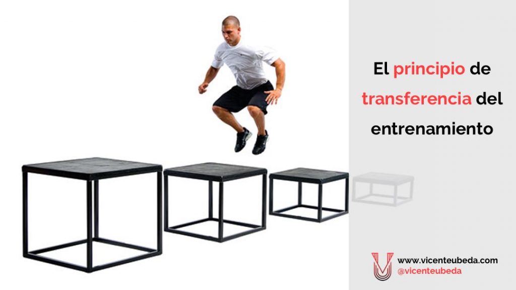 El principio de transferencia del entrenamiento