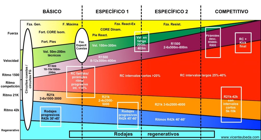Planificación para un atleta de fondo